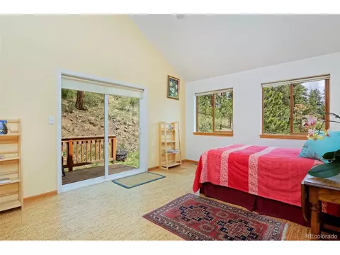 727 N Pine Dr, Bailey, CO 80421 photo 14