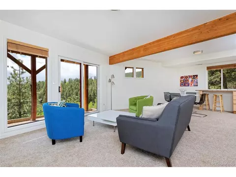 727 N Pine Dr, Bailey, CO 80421 photo 25