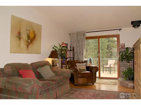 168 Jade Way, Lyons, CO 80540 photo 4