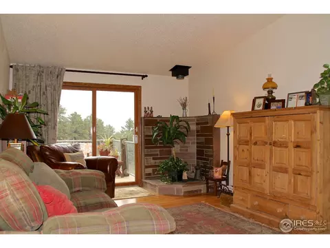 168 Jade Way, Lyons, CO 80540 photo 6