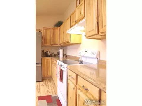 168 Jade Way, Lyons, CO 80540 photo 11