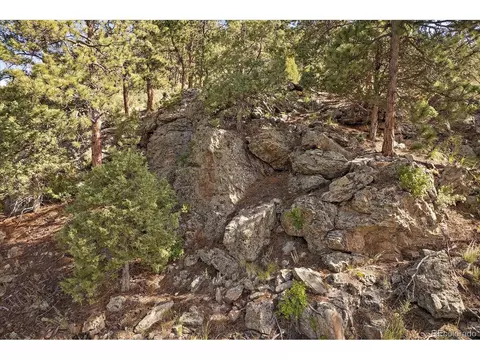1567 S Ridge Rd, Bailey, CO 80421 photo 27