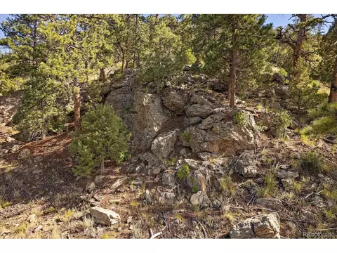 1567 S Ridge Rd, Bailey, CO 80421 photo 26