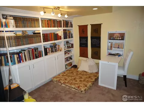 832 Cliffrose Way, Severance, CO 80550 photo 20