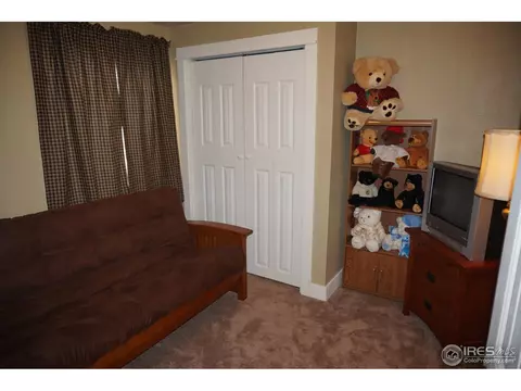 832 Cliffrose Way, Severance, CO 80550 photo 22