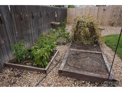 832 Cliffrose Way, Severance, CO 80550 photo 33