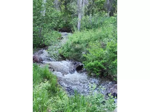 Undisclosed, Rye, CO 81069 photo 26