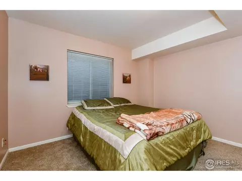 4869 E 119th Ct, Thornton, CO 80233 photo 22