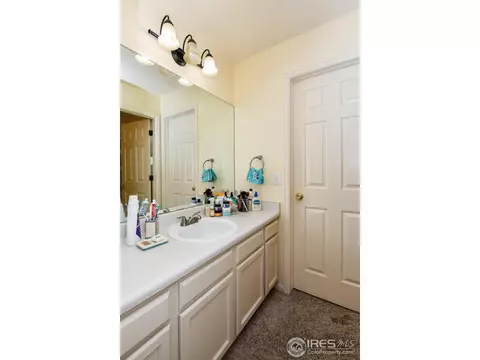 4869 E 119th Ct, Thornton, CO 80233 photo 24