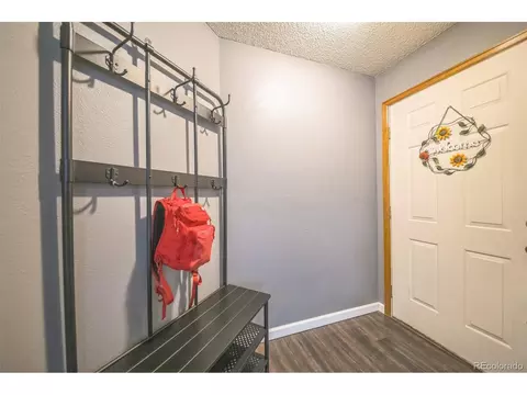 20681 E Scott Cir, Denver, CO 80249 photo 4