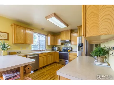 1111 Summit Ct, Windsor, CO 80550 photo 10