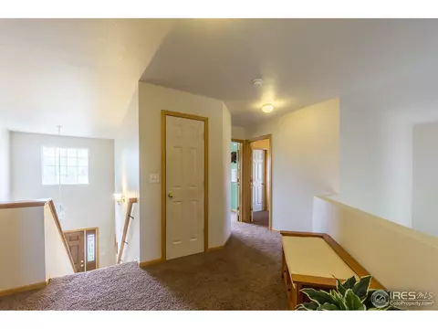 1111 Summit Ct, Windsor, CO 80550 photo 18