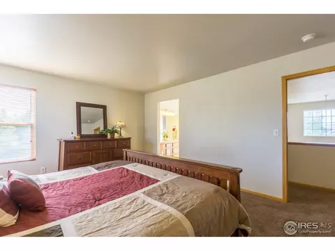 1111 Summit Ct, Windsor, CO 80550 photo 21