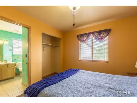 1111 Summit Ct, Windsor, CO 80550 photo 25
