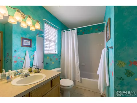 1111 Summit Ct, Windsor, CO 80550 photo 26