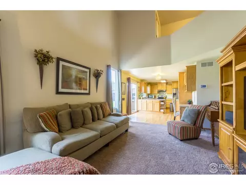 1111 Summit Ct, Windsor, CO 80550 photo 12