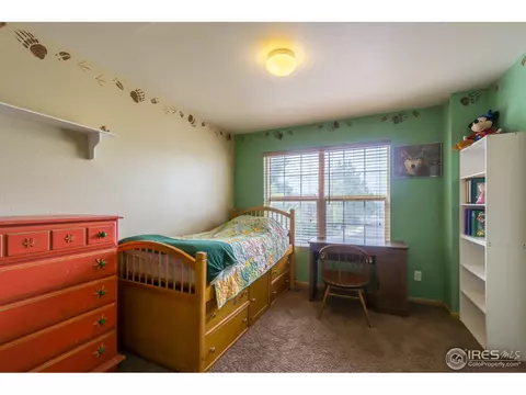 1111 Summit Ct, Windsor, CO 80550 photo 27
