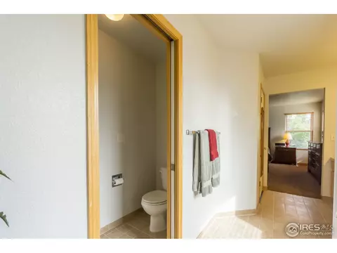 1111 Summit Ct, Windsor, CO 80550 photo 24