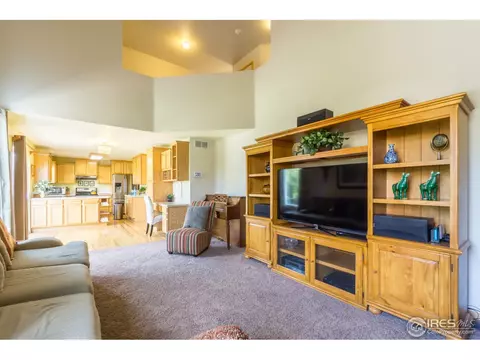 1111 Summit Ct, Windsor, CO 80550 photo 15