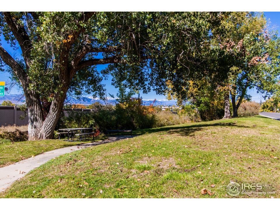 8251 Clemson Ln, Westminster, CO 80031 photo 36