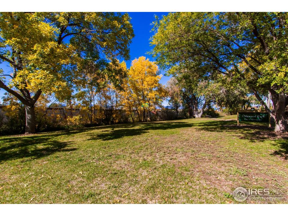  8251 Clemson Ln, Westminster, CO 80031 photo 37
