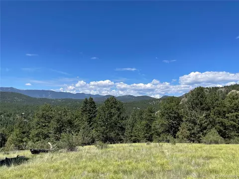 98 Wisp Ln, Bailey, CO 80421 photo 22