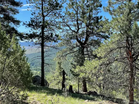 98 Wisp Ln, Bailey, CO 80421 photo 6