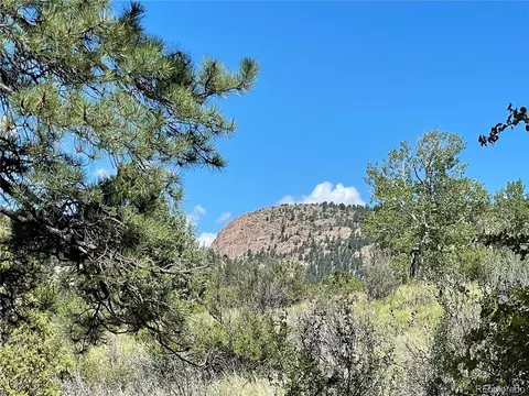 98 Wisp Ln, Bailey, CO 80421 photo 12