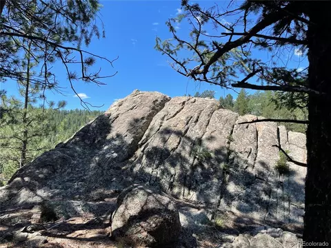 98 Wisp Ln, Bailey, CO 80421 photo 4