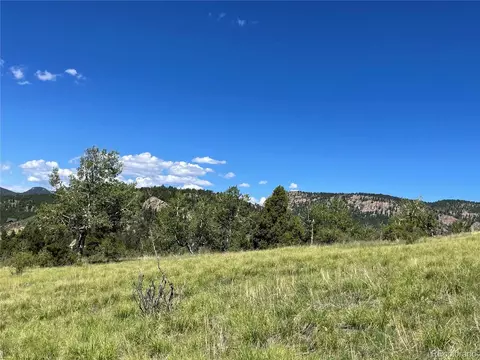 98 Wisp Ln, Bailey, CO 80421 photo 8