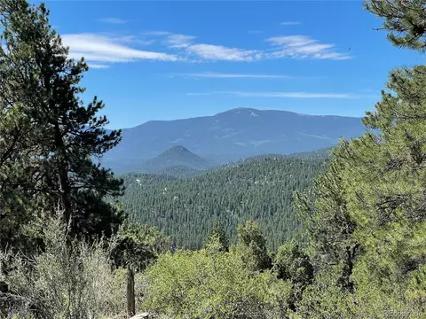 98 Wisp Ln, Bailey, CO 80421 photo 2