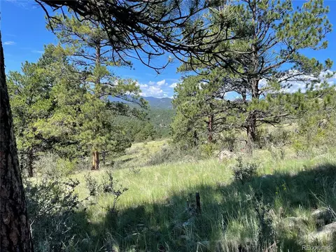 98 Wisp Ln, Bailey, CO 80421 photo 11