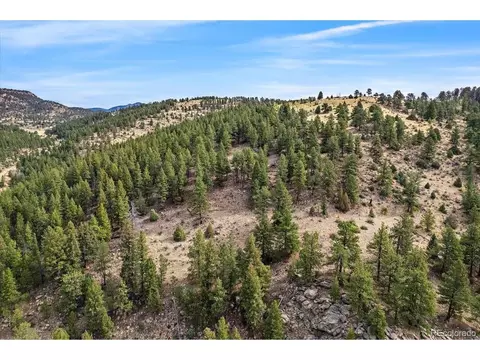 98 Wisp Ln, Bailey, CO 80421 photo 18