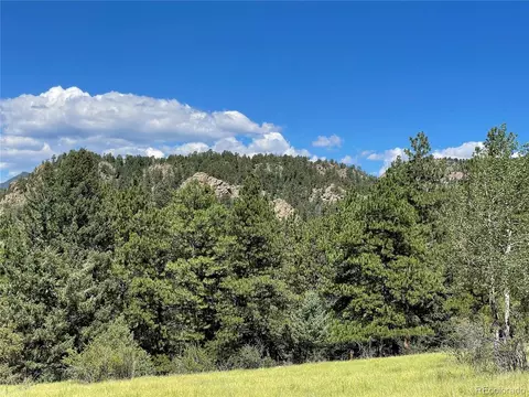 98 Wisp Ln, Bailey, CO 80421 photo 13