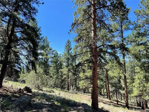 98 Wisp Ln, Bailey, CO 80421 photo 14