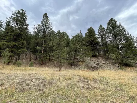 98 Wisp Ln, Bailey, CO 80421 photo 21