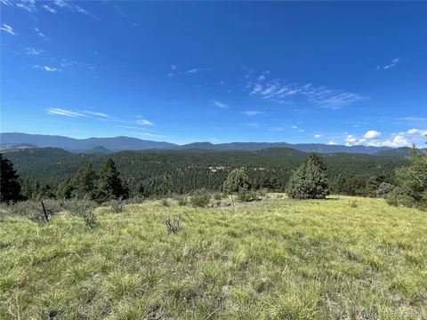 98 Wisp Ln, Bailey, CO 80421 photo 9