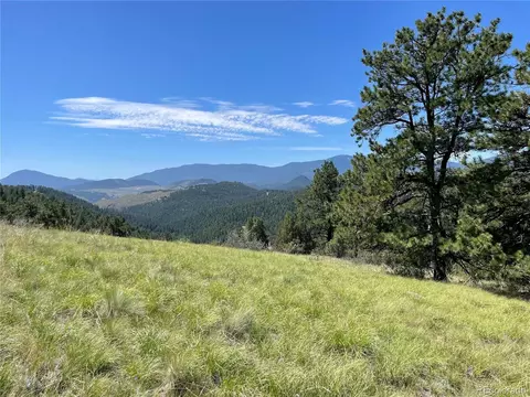 98 Wisp Ln, Bailey, CO 80421 photo 1