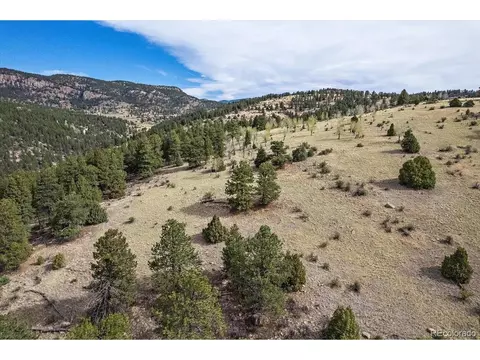 98 Wisp Ln, Bailey, CO 80421 photo 17