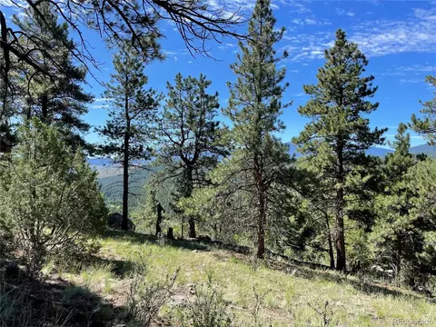 98 Wisp Ln, Bailey, CO 80421 photo 25