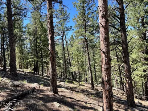 98 Wisp Ln, Bailey, CO 80421 photo 3