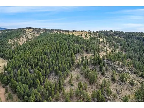 98 Wisp Ln, Bailey, CO 80421 photo 16