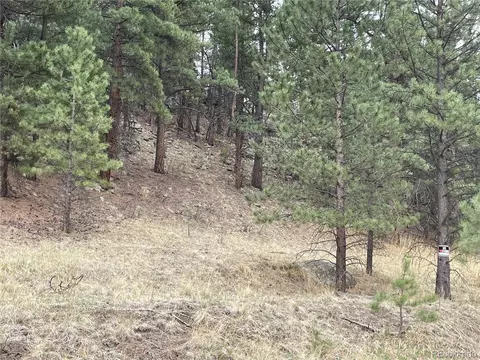 98 Wisp Ln, Bailey, CO 80421 photo 20