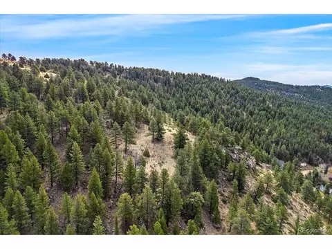 98 Wisp Ln, Bailey, CO 80421 photo 15