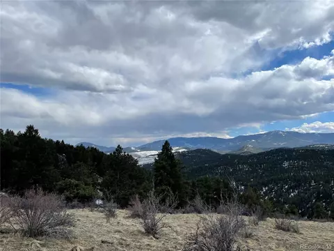 98 Wisp Ln, Bailey, CO 80421 photo 19