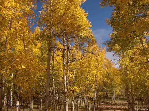 7693 Remington Rd, Como, CO 80432 photo 4