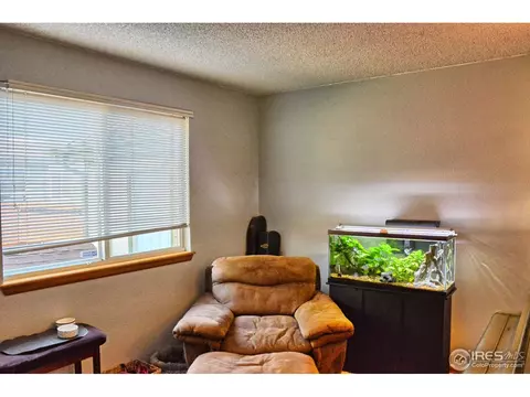 4211 E 106th Ct, Thornton, CO 80233 photo 31