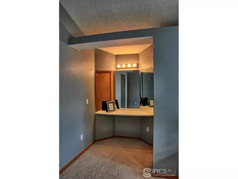 4211 E 106th Ct, Thornton, CO 80233 photo 21