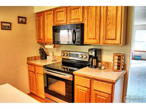 4211 E 106th Ct, Thornton, CO 80233 photo 10