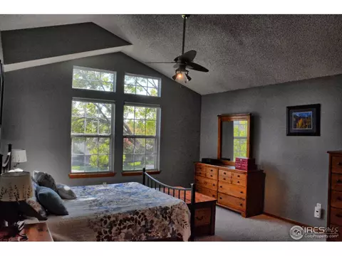 4211 E 106th Ct, Thornton, CO 80233 photo 18